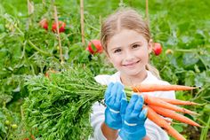 a girls carrying carrots in a carrot farm and smiling 