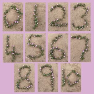 Numbers 0 through 9 formed with leaves and small flowers on a sandy background, displayed in a grid of 3x4.